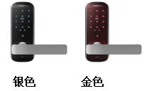 图片 2.png